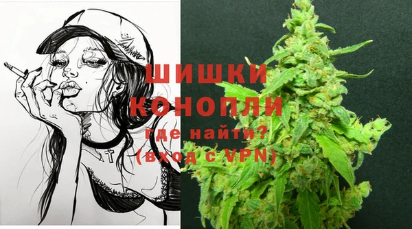 ГАЛЛЮЦИНОГЕННЫЕ ГРИБЫ Арсеньев