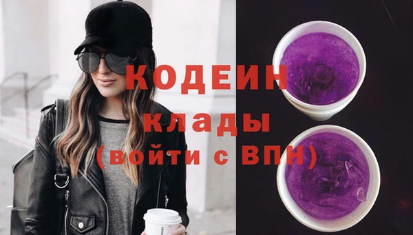 ГАЛЛЮЦИНОГЕННЫЕ ГРИБЫ Арсеньев