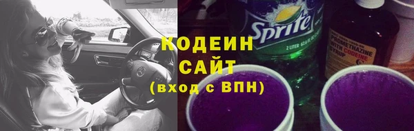 ГАЛЛЮЦИНОГЕННЫЕ ГРИБЫ Арсеньев