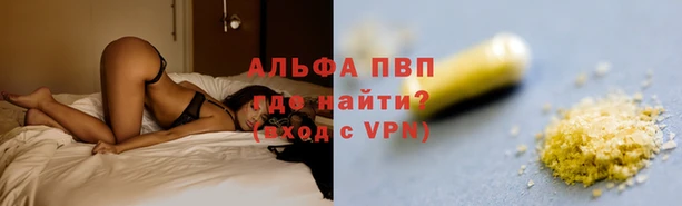 ГАЛЛЮЦИНОГЕННЫЕ ГРИБЫ Арсеньев