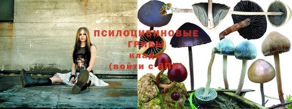 мяу мяу кристалл Аркадак